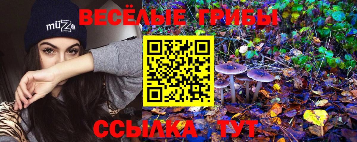 Псилоцибиновые грибы Cubensis Елец
